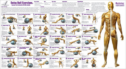 Exercise Ball Workout Chart